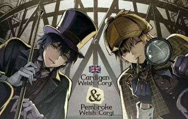 国产悬疑漫画排行榜前十名