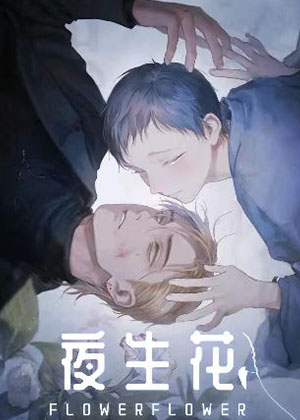 夜生花
