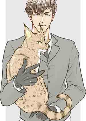 绅士与山猫