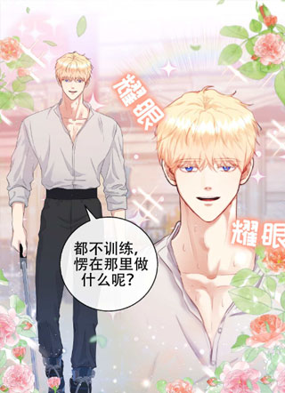 大公殿下的骑士 截图0