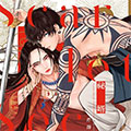 秘婿