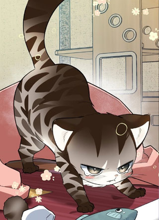 不想看我发疯的话，就给我生一只小豹猫！ 截图1