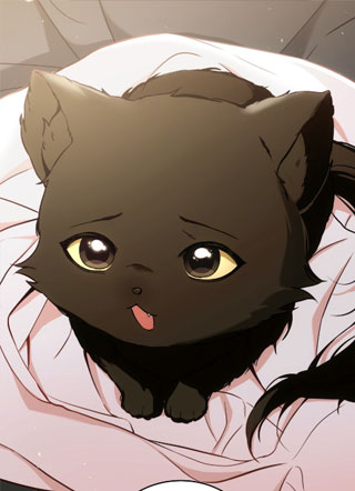 猫咪疗法 截图1