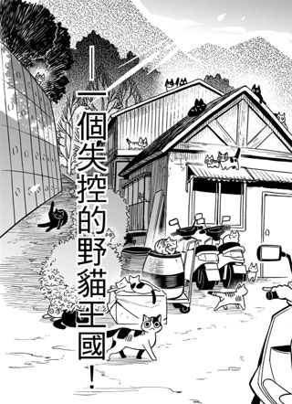 猫咪与他们的产地 截图1