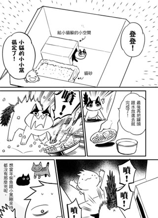 猫咪与他们的产地 截图0