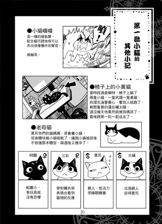 猫咪与他们的产地 截图2