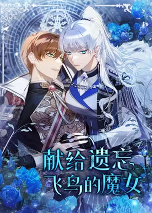 献给遗忘飞鸟的魔女