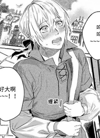 野玫瑰与伪装者 截图0