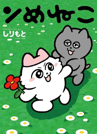 呜莓猫猫 截图1