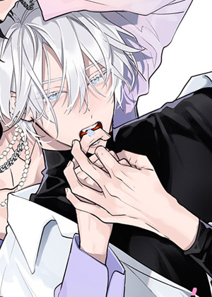 流星般的白昼之夜