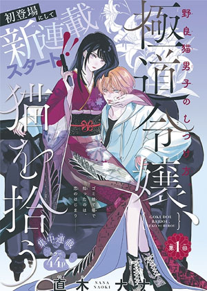 黑道千金、捡到猫