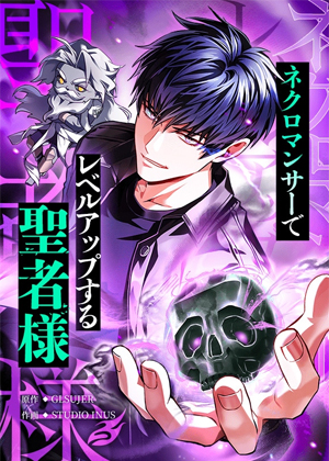 以死灵法师之姿升级的圣者