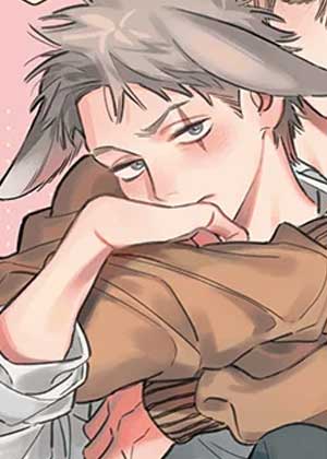 亲爱的兔子男孩