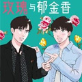 玫瑰与郁金香
